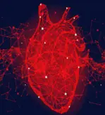 application area img