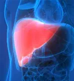 application area img