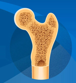 application area img